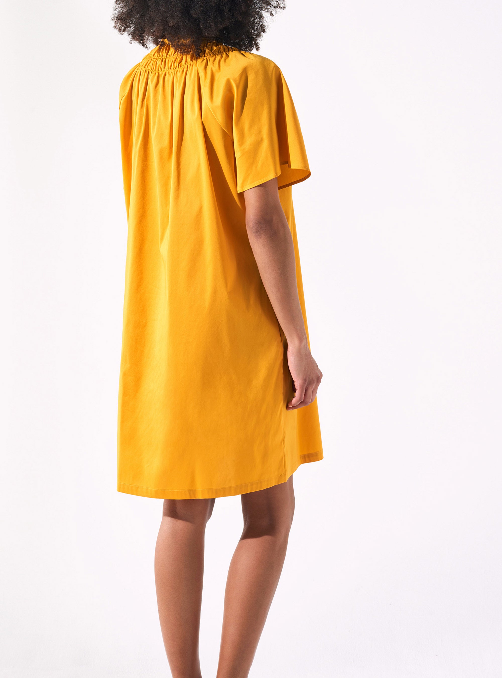 Crushed Pleated Trapeze Spirit Dress